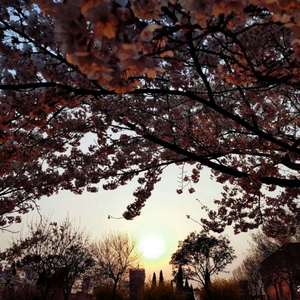 jlzzjlzz欧美大全
